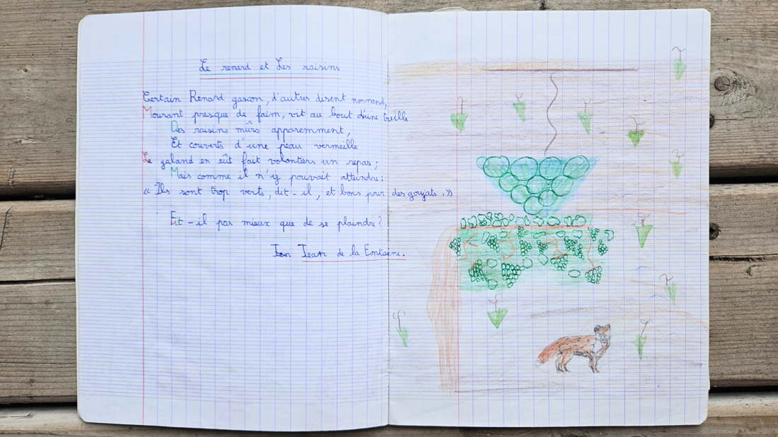 Pourquoi j’illustre : retour aux origines