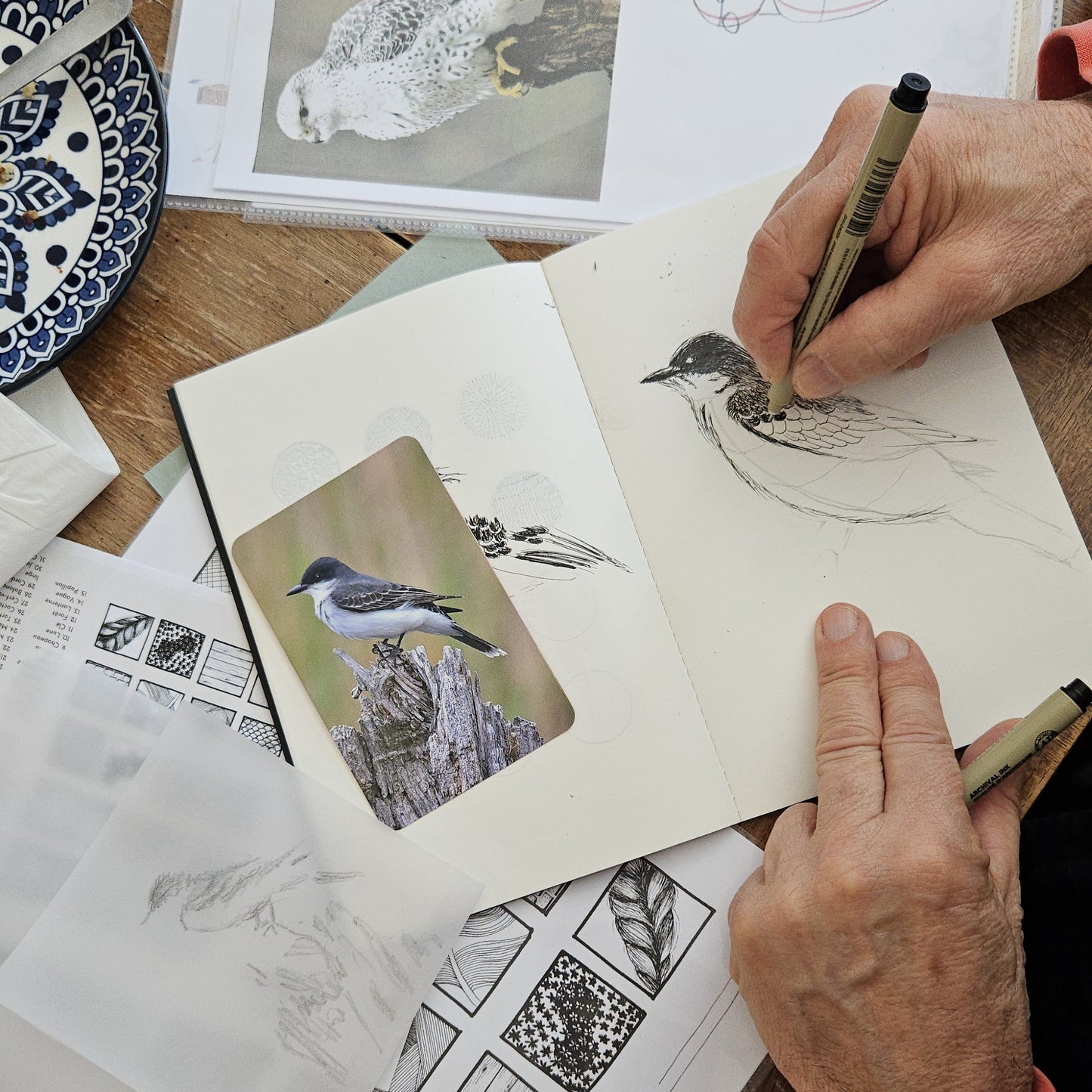 ATELIERS : Dessin au trait  | Les oiseaux