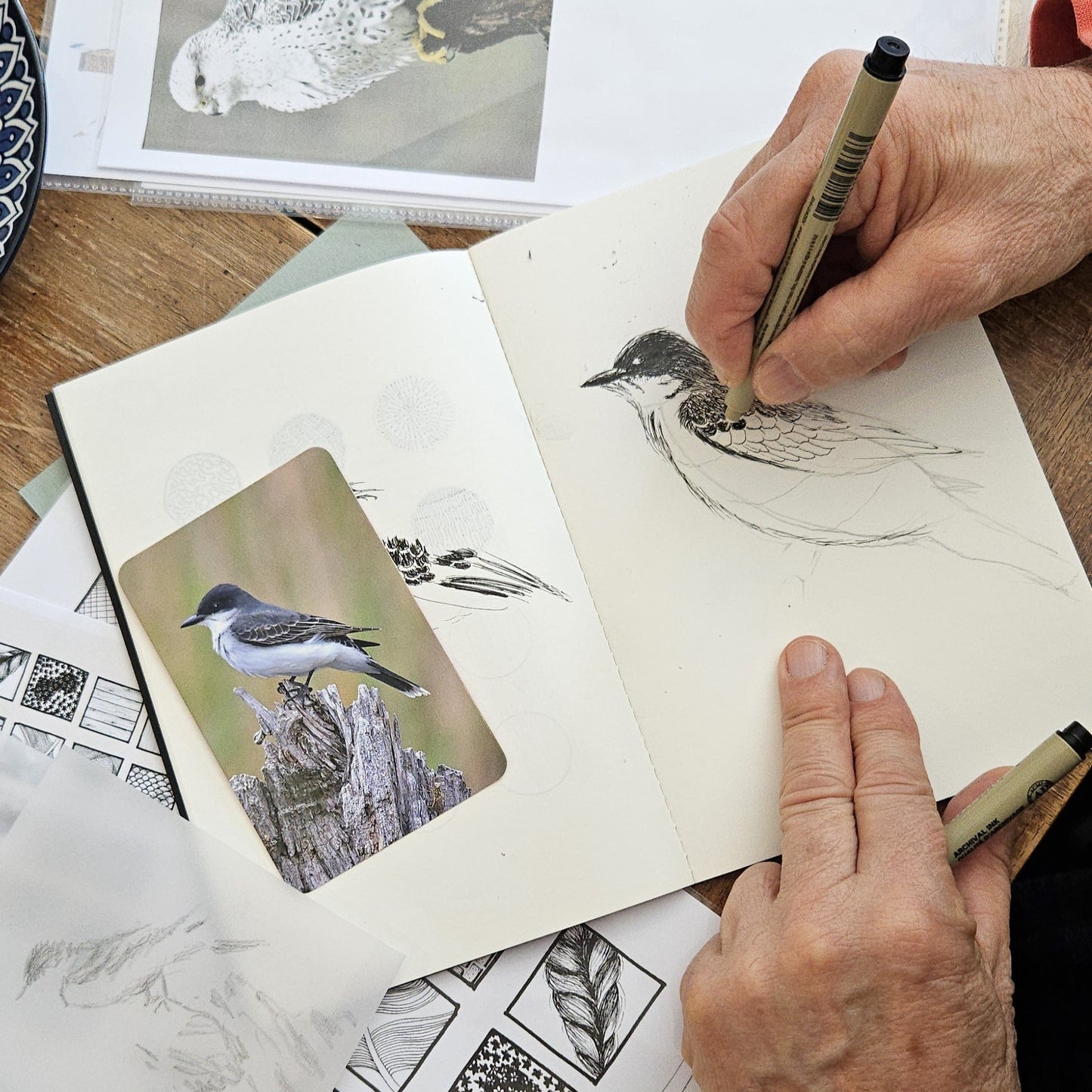 ATELIERS : Dessin au trait  | Les oiseaux