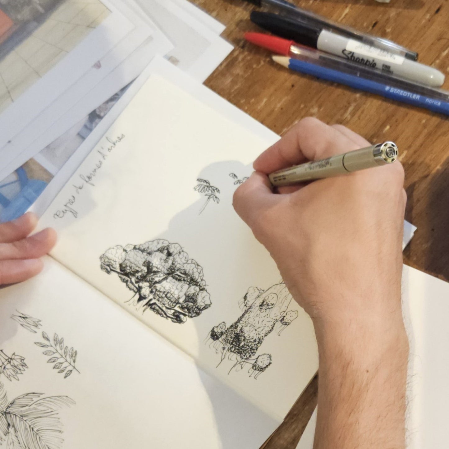 ATELIERS : Dessin au trait  | Les arbres