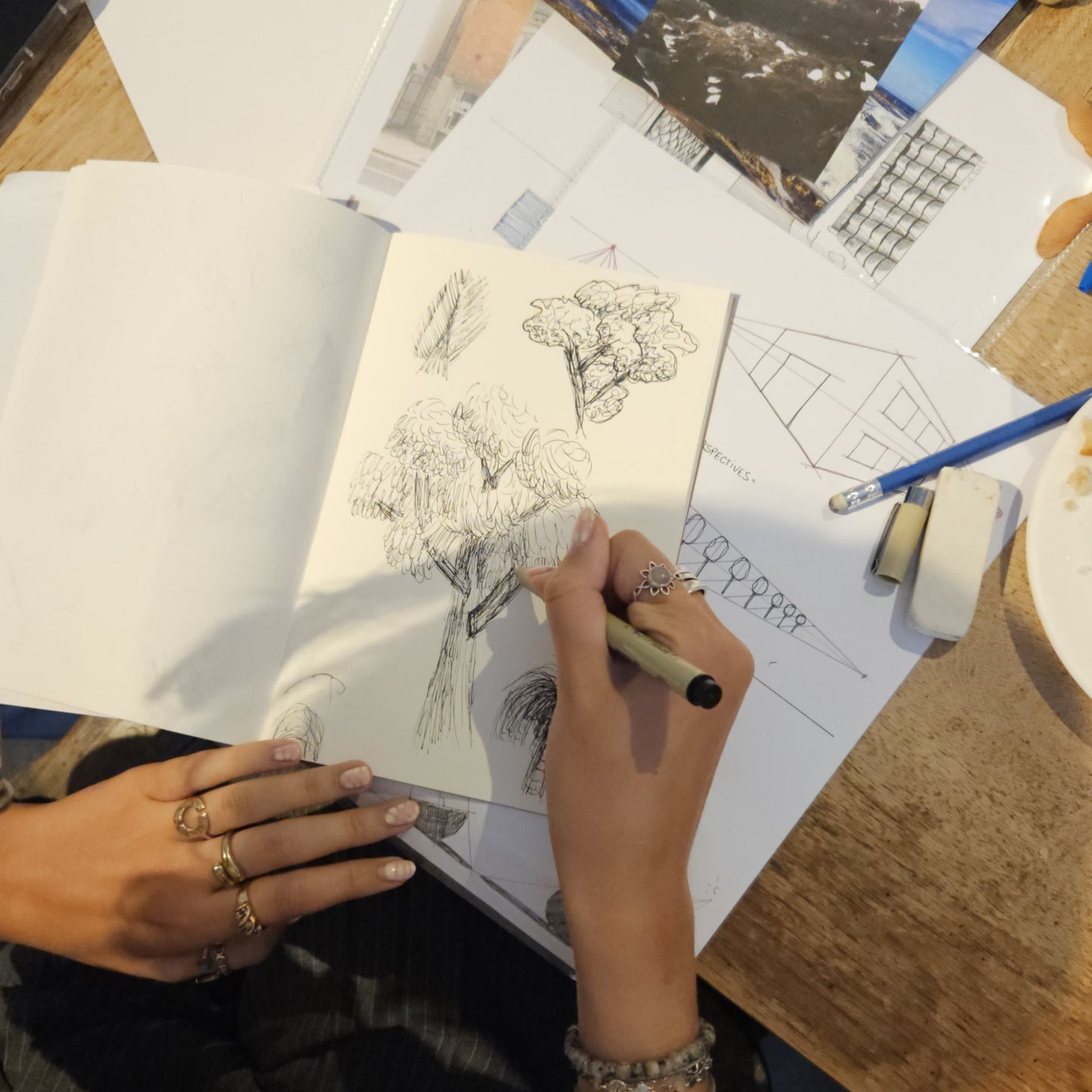 ATELIERS : Dessin au trait  | La Nature