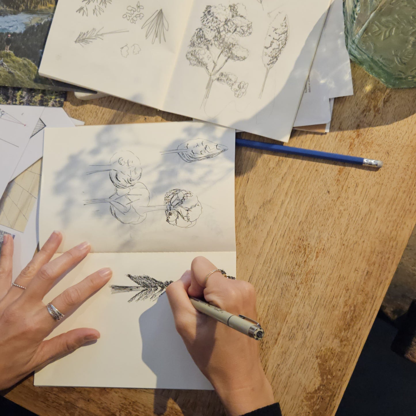 ATELIERS : Dessin au trait  | La Nature