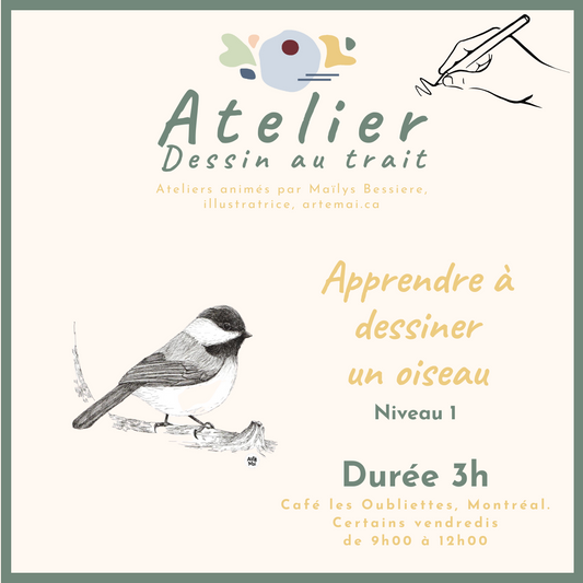 ATELIERS : Dessin au trait  | Les oiseaux