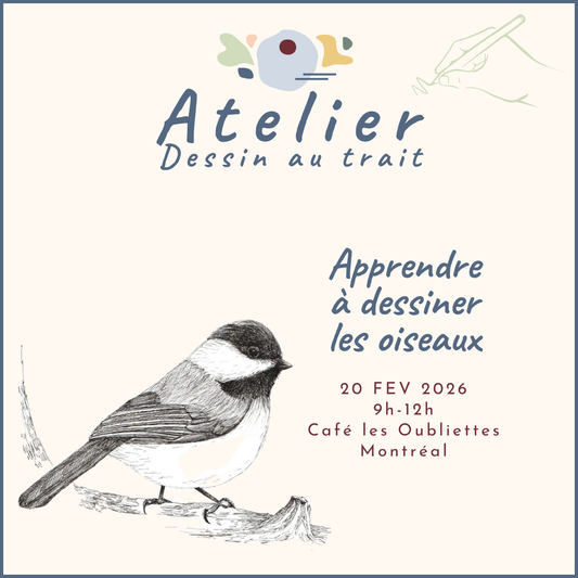 ATELIERS : Dessin au trait  | Les oiseaux