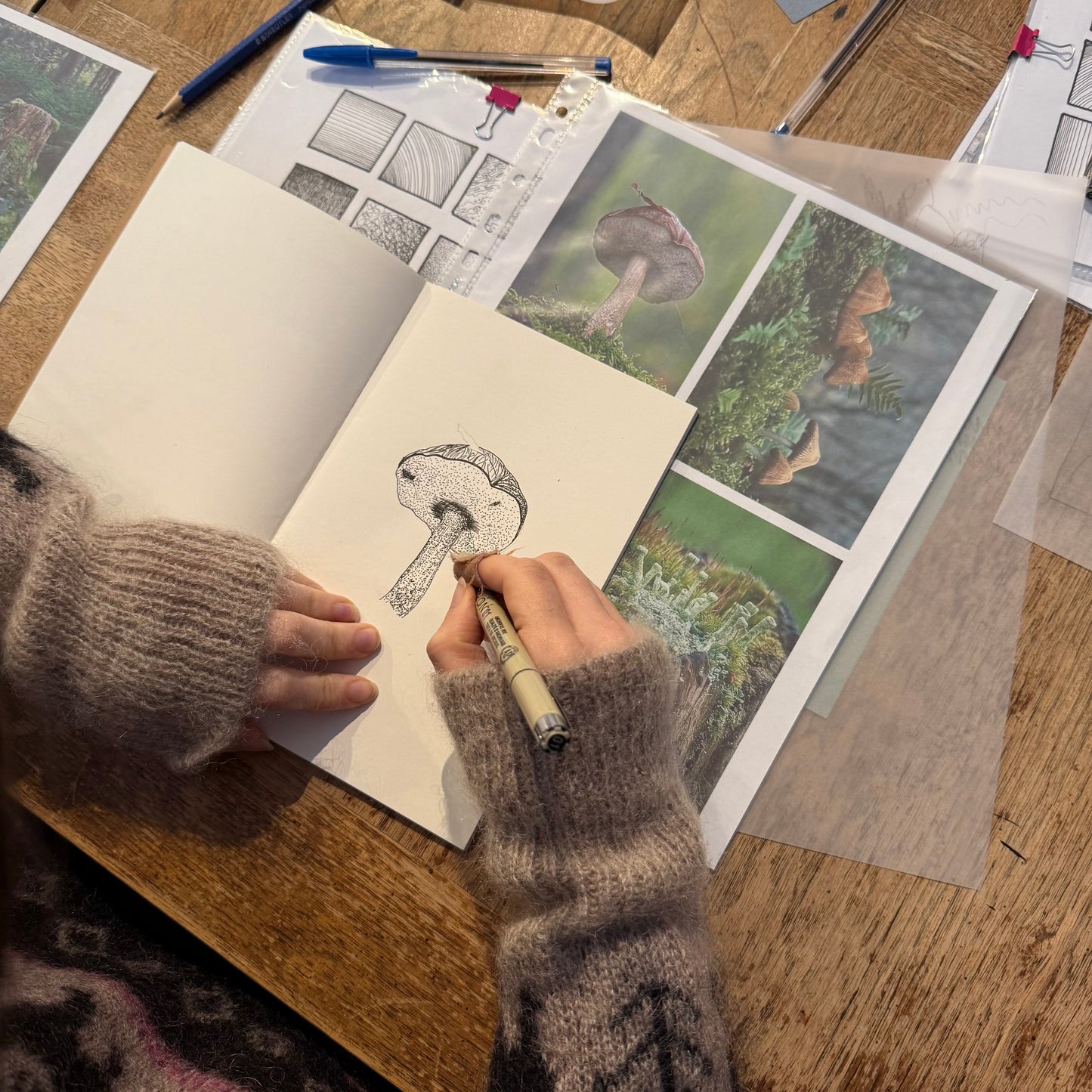 ATELIERS : Dessin au trait  | La Nature